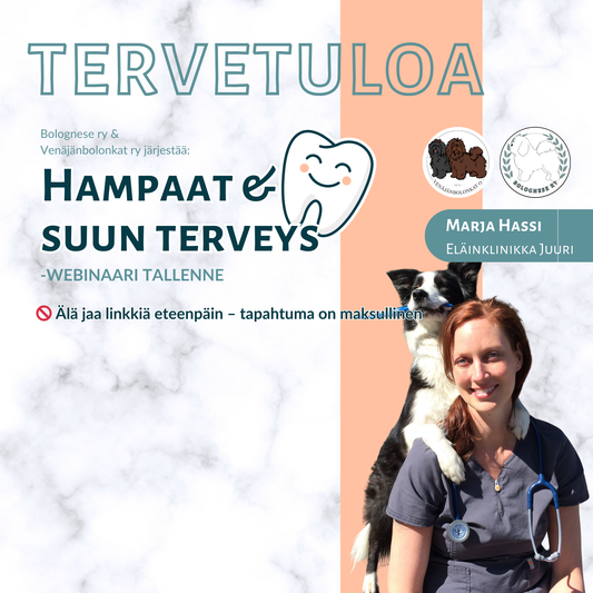 Hampaat ja suun terveys-webinaari TALLENNE
